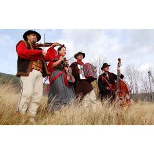 Wysoki zameczek (zomecek)- mel.Ludowa (góralska) – ver.zMuZyKoWani- Midi Yamaha psr s750